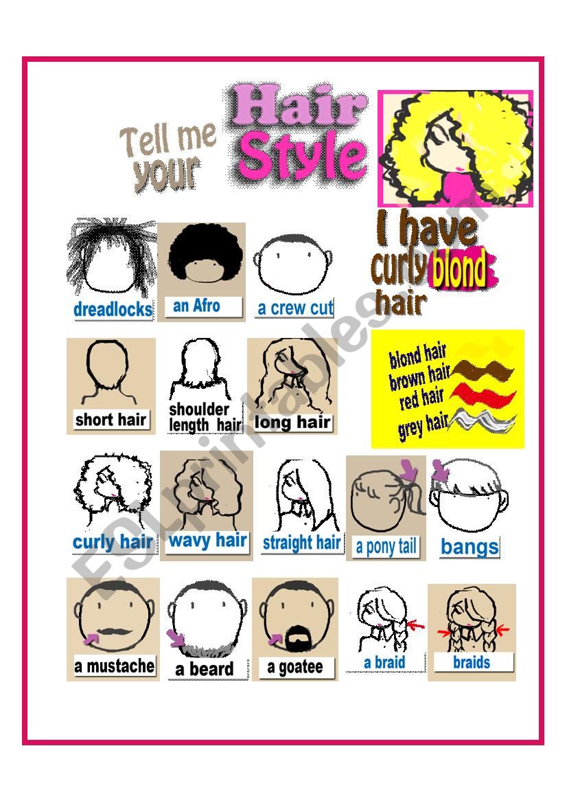 Hair Styles ( I have...) worksheet