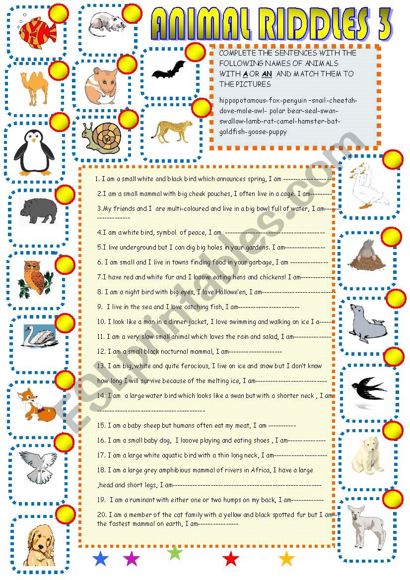 Animal riddles3 worksheet