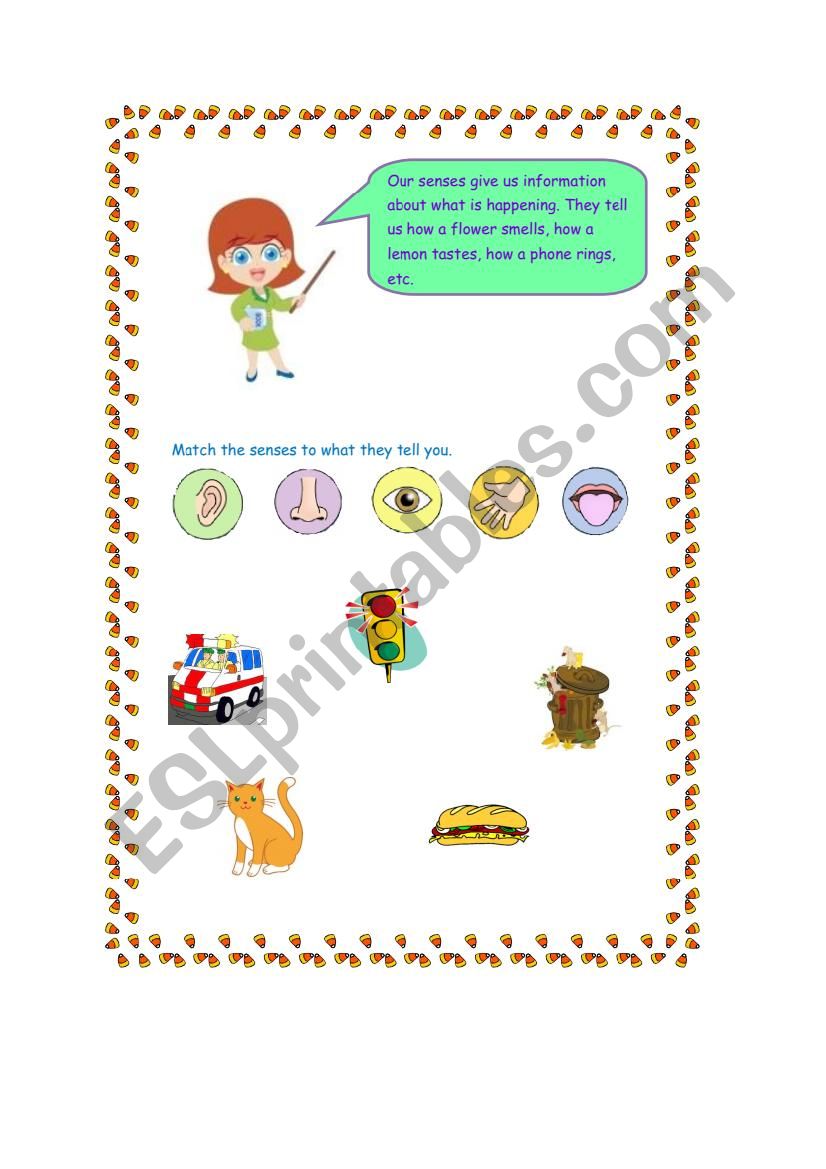 The 5 senses worksheet