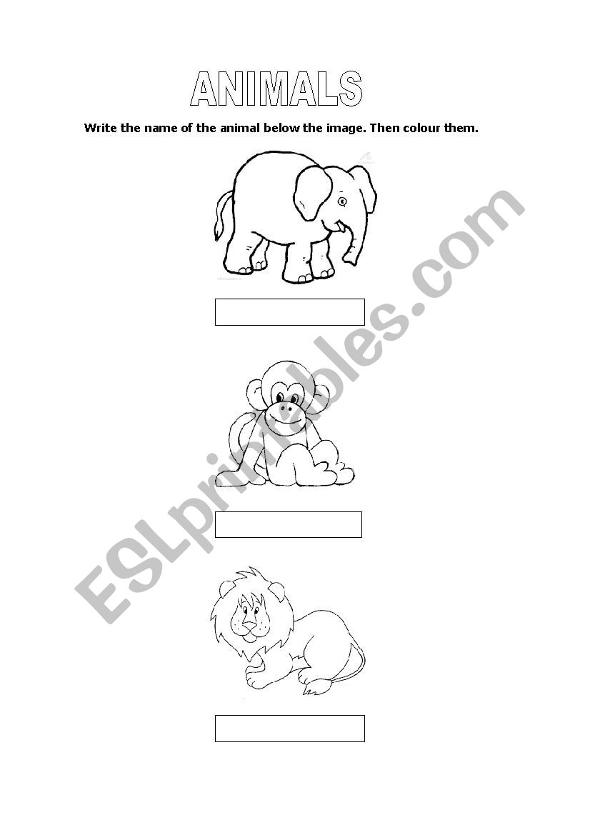 ANIMALS worksheet