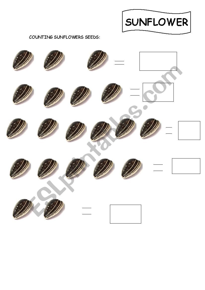 counting seeds worksheet