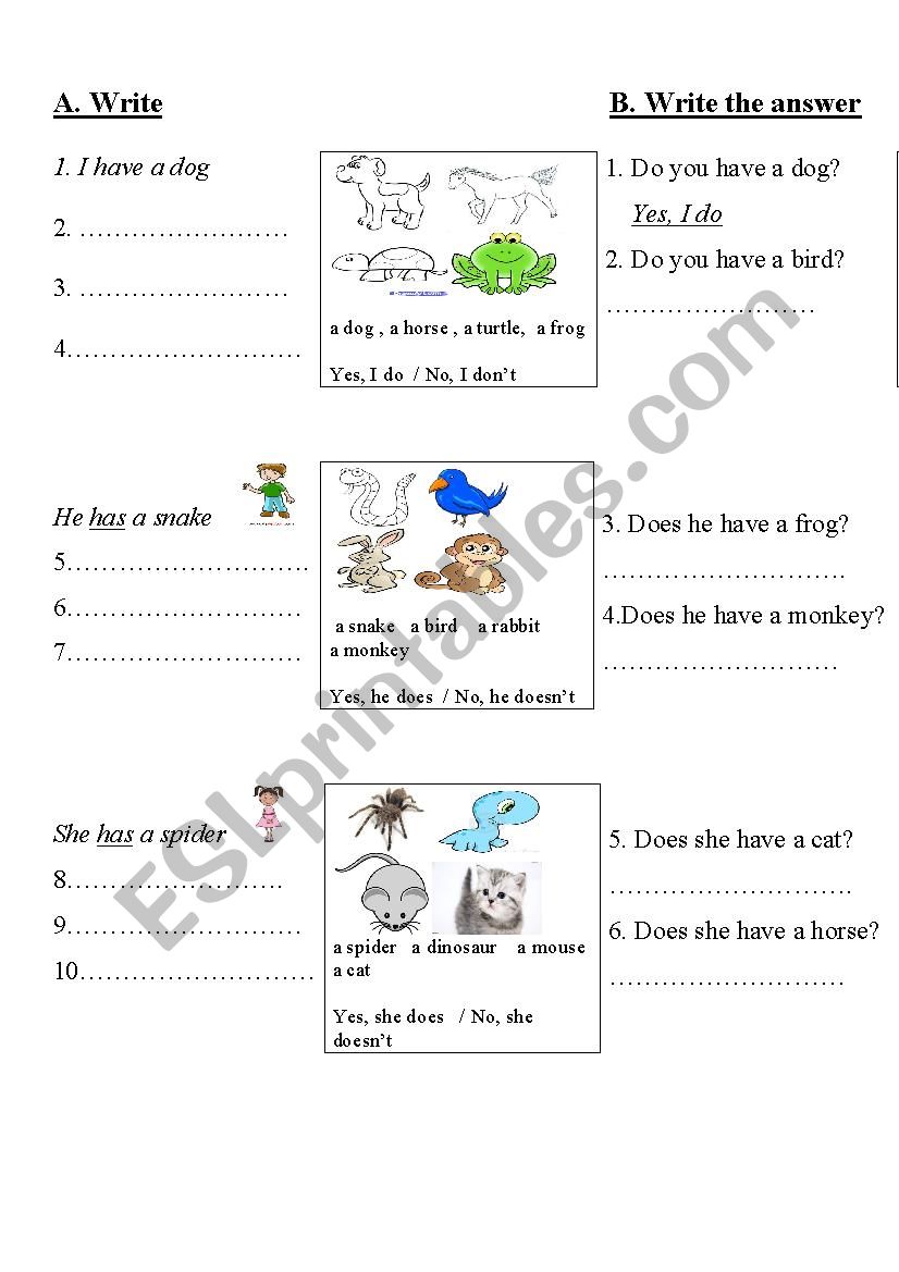 have or has worksheet