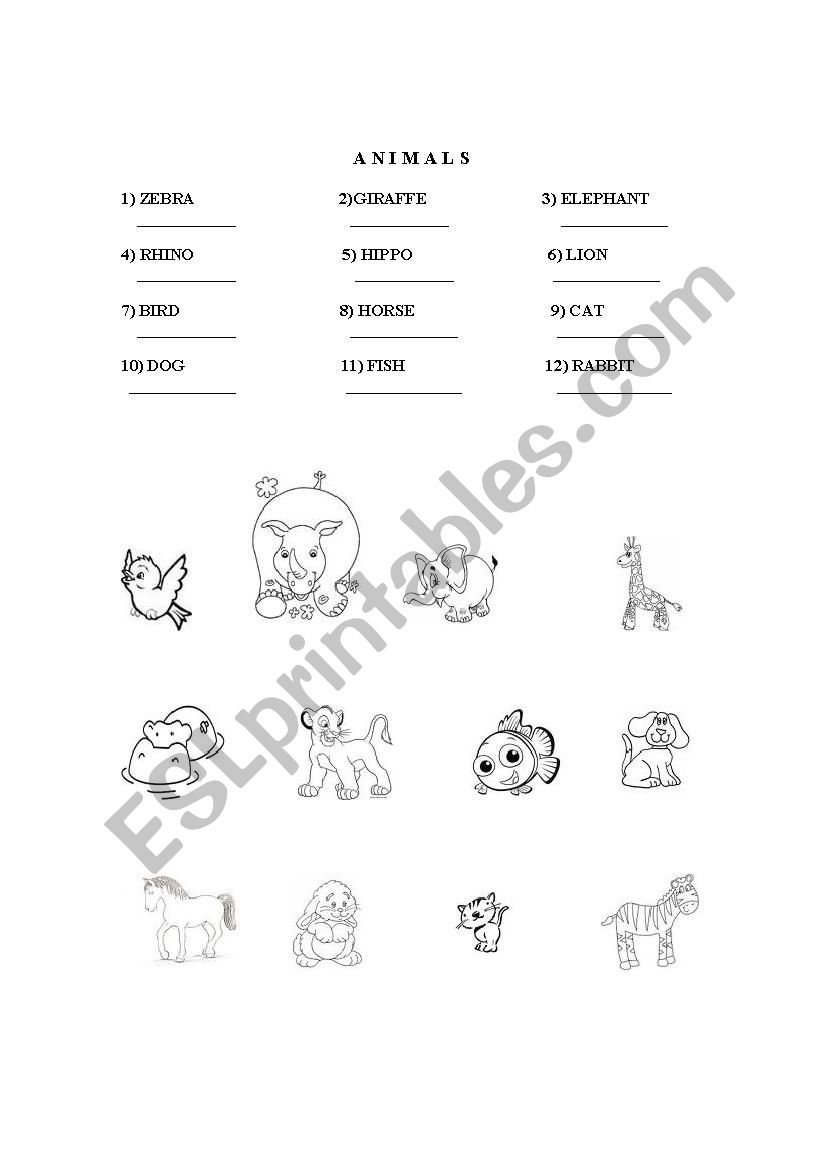 Animals worksheet