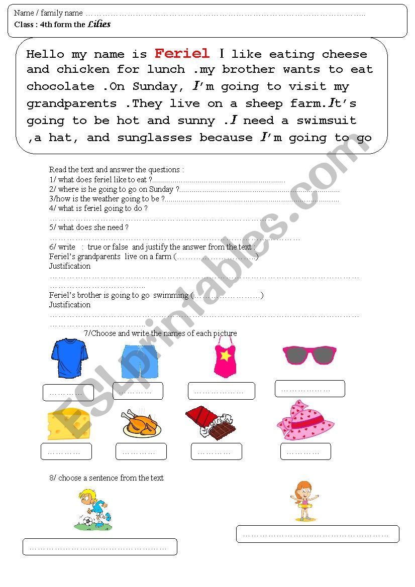 reading comprehension worksheet