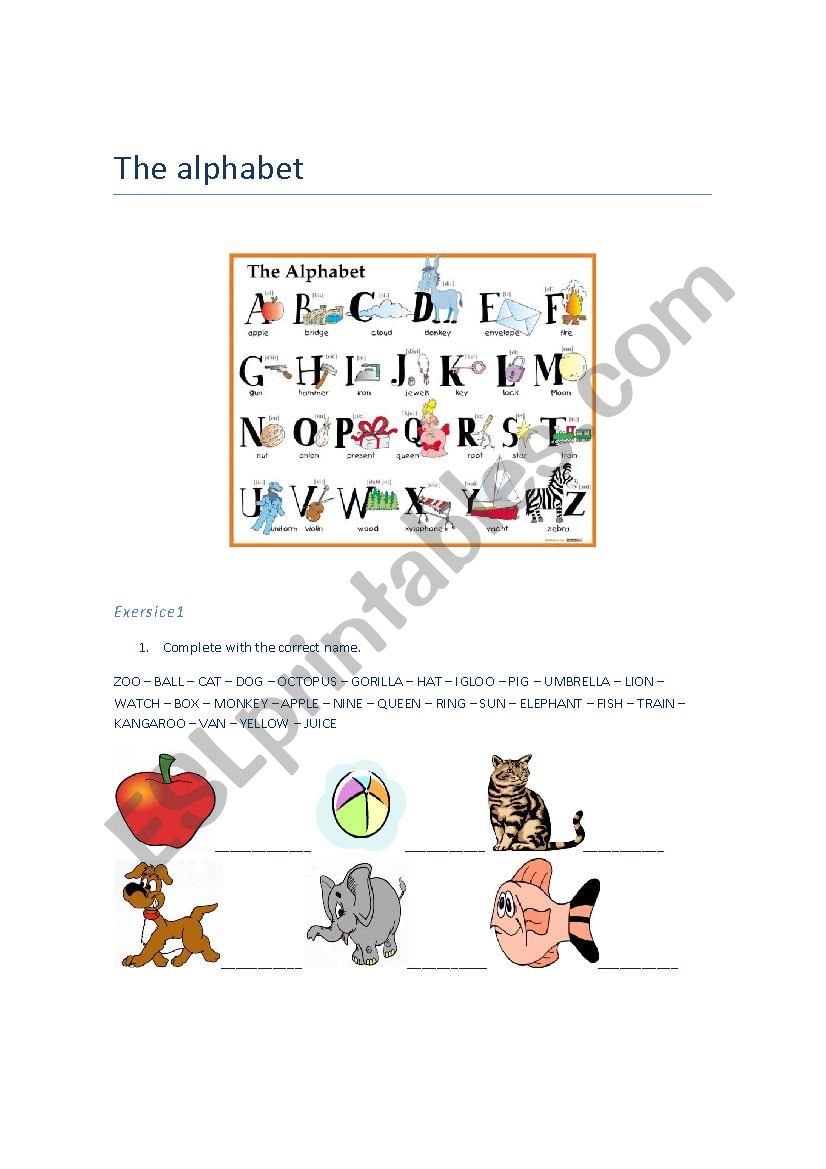 The alphabet worksheet