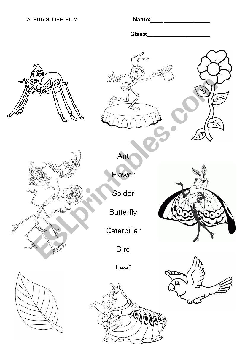 A bugs life movie worksheet