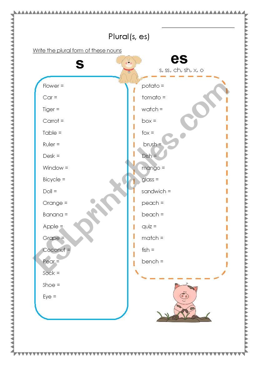 plural only s and es worksheet
