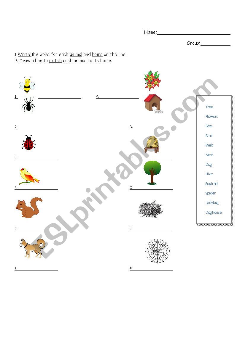 Backyard Animals Habitat worksheet