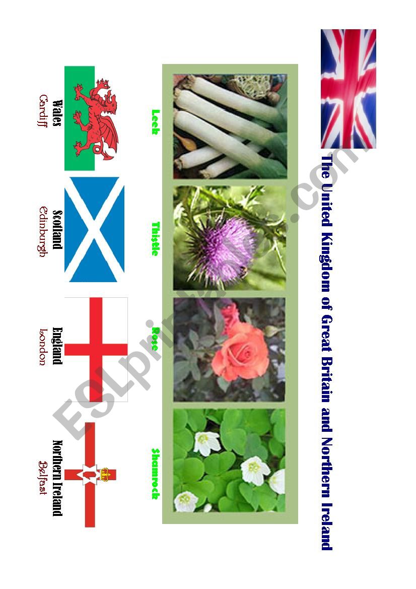 The United Kingdom  worksheet