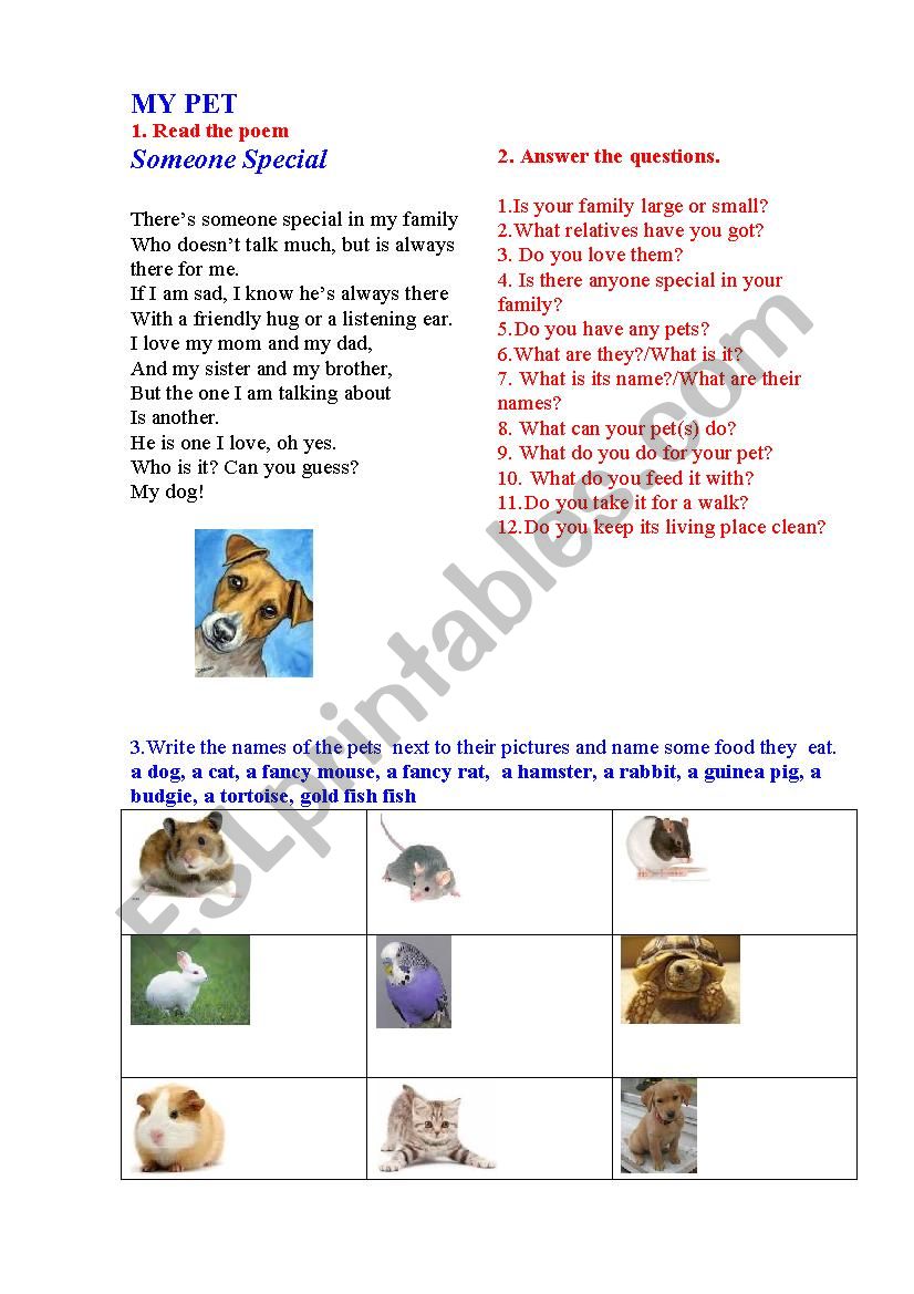 MY PET  (a short poem + questions + matching activity)