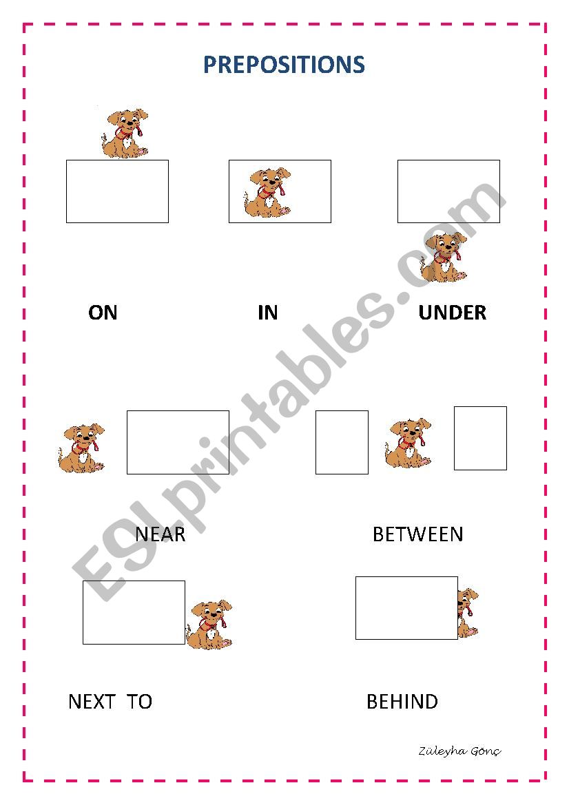 prepositions  worksheet
