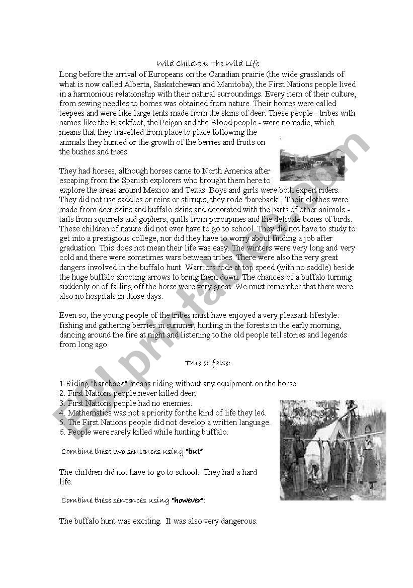 Wild life worksheet