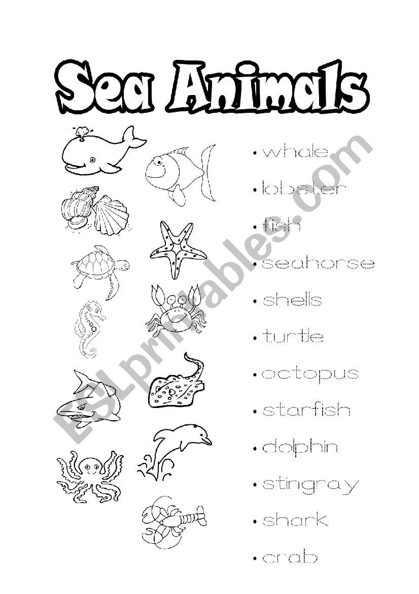 Sea Animals worksheet
