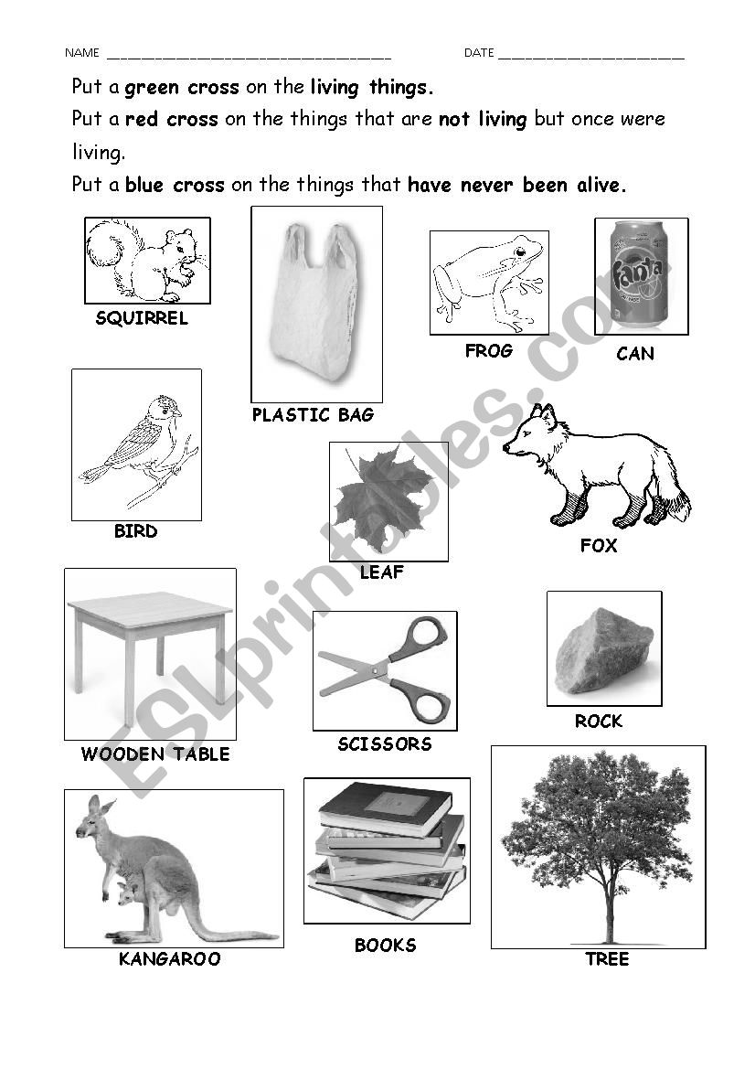 Living things worksheet