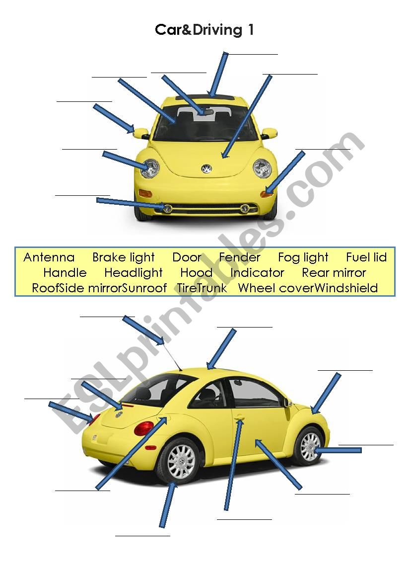 Car and driving 1 worksheet