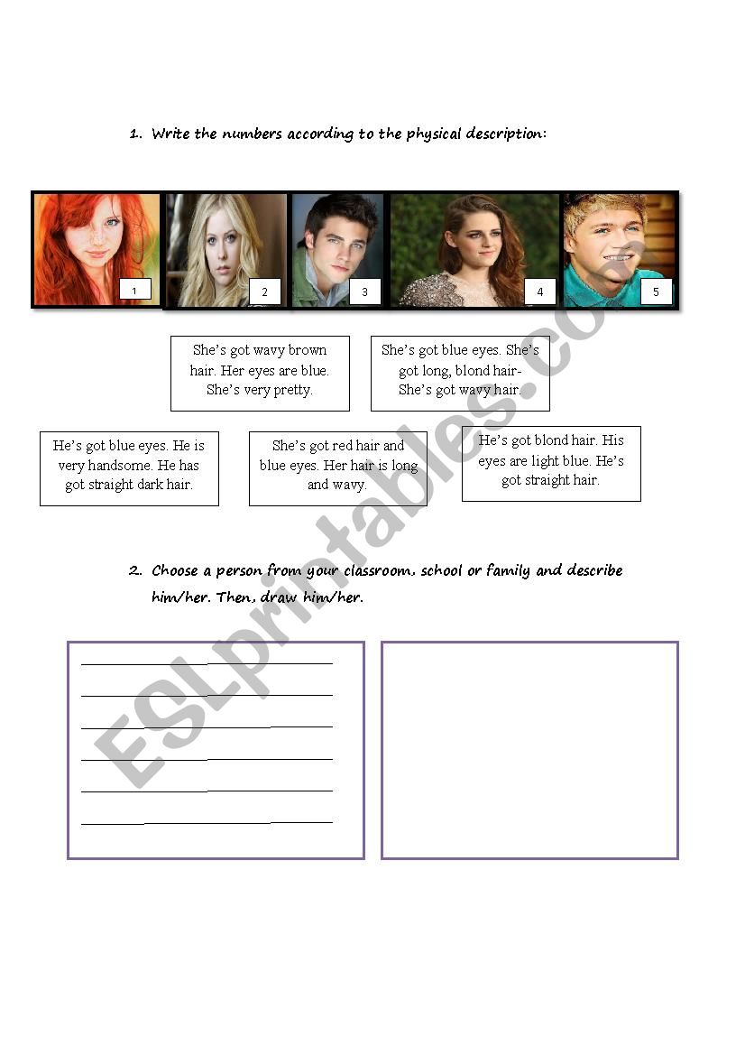 Physical descriptions worksheet