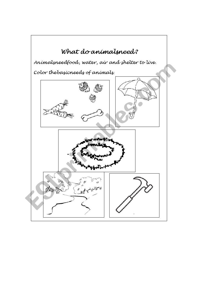 what do animals need worksheet