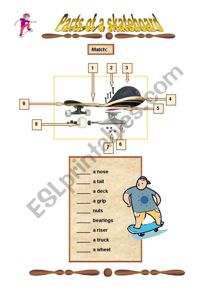 Parts of a skateboard worksheet