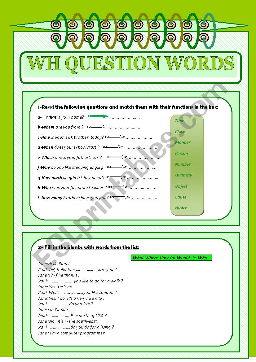 WH questions  worksheet