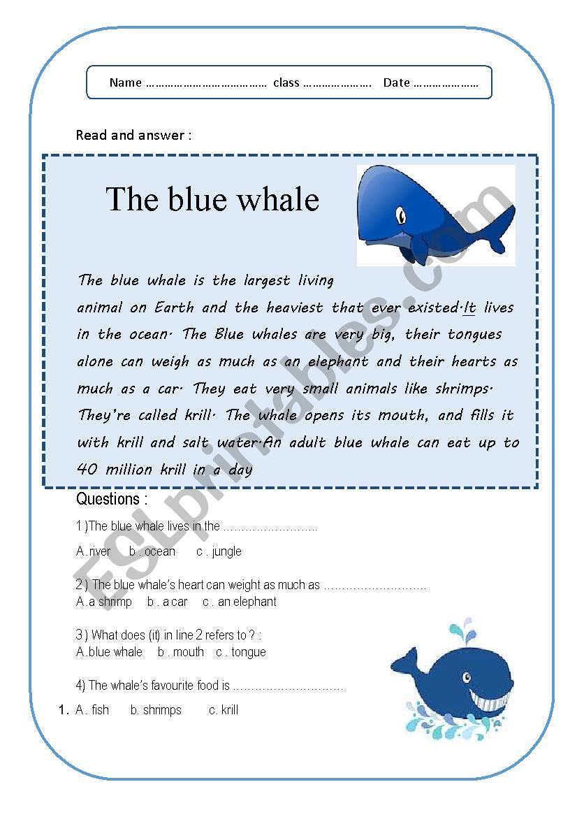 blue whale worksheet