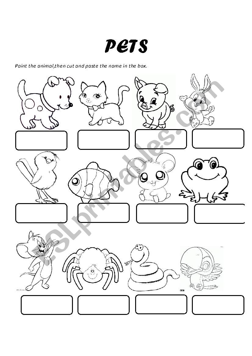 Pets worksheet