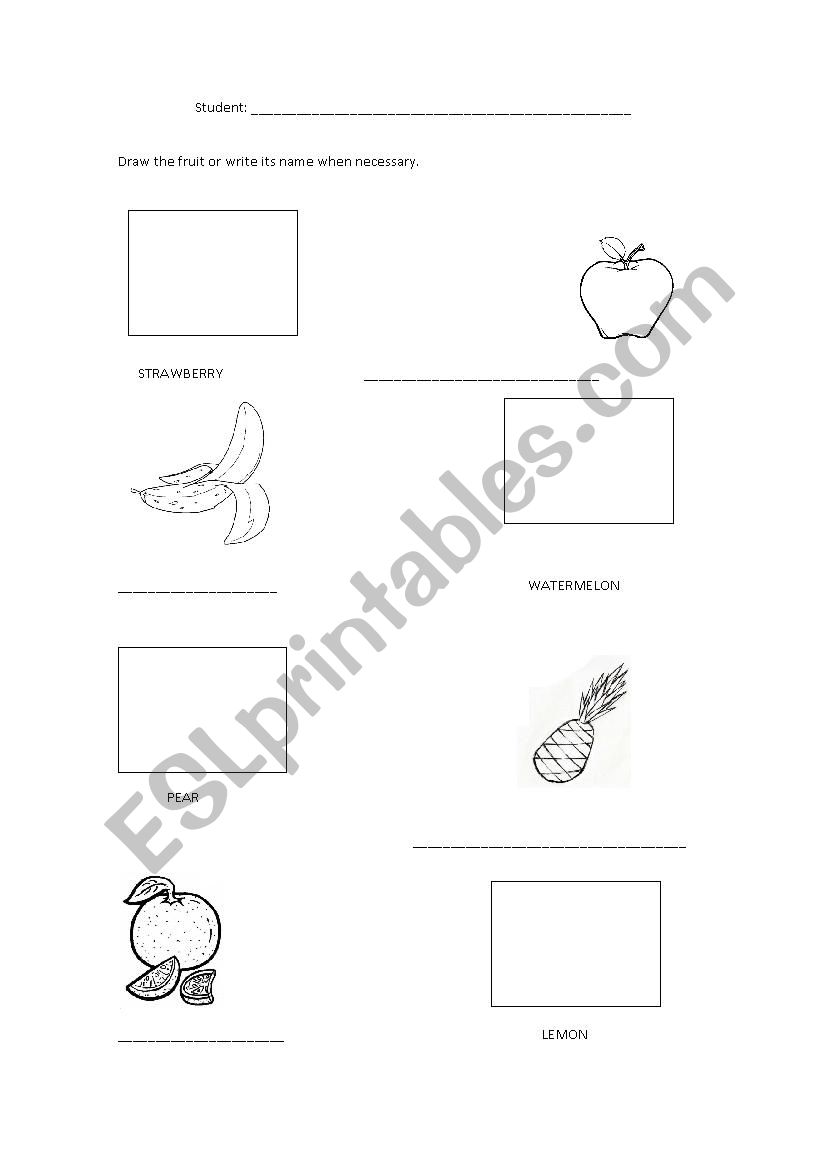 Fruits worksheet