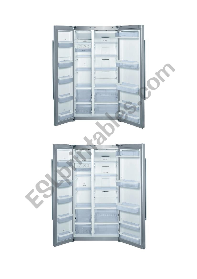 What is in the fridge? worksheet