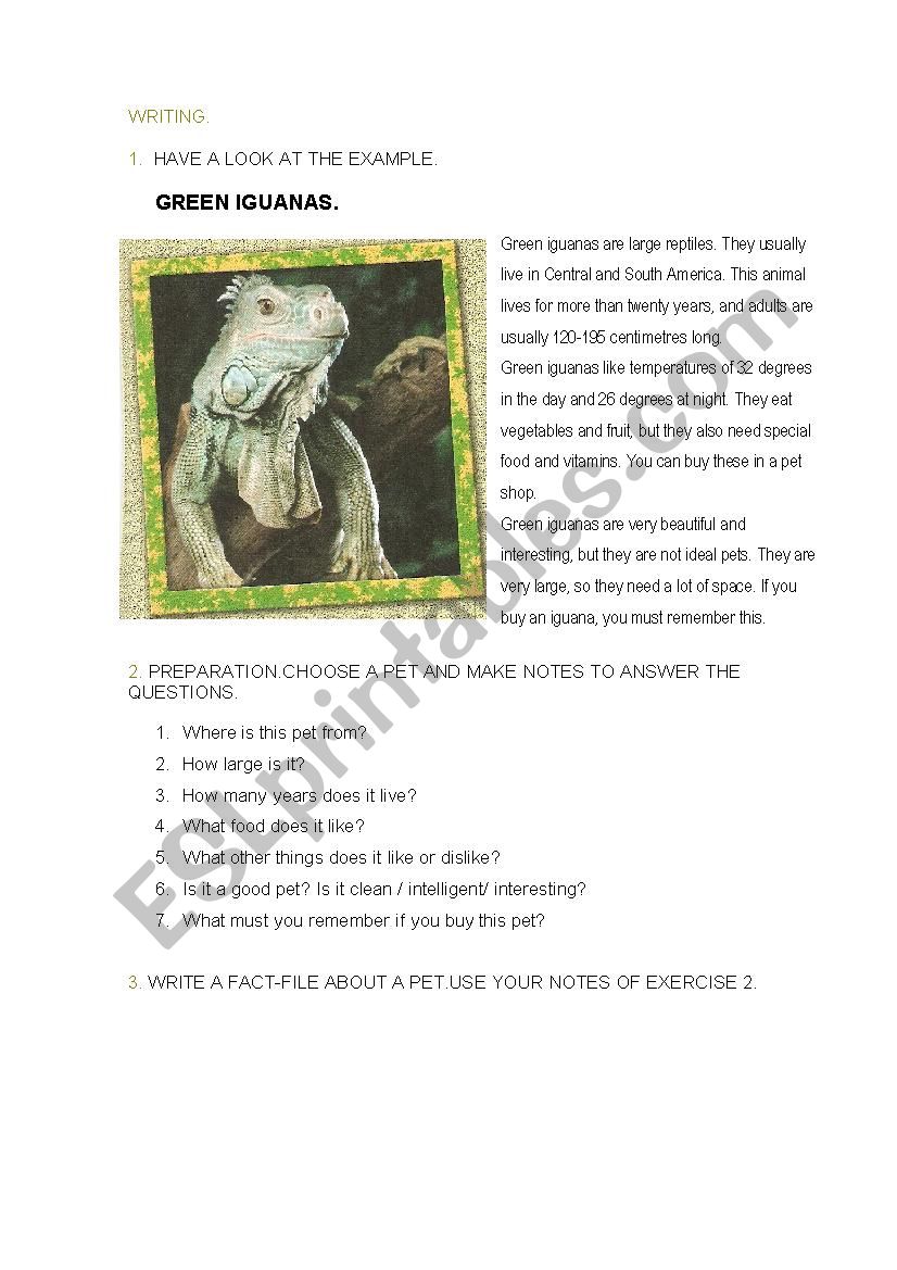 IGUANA worksheet