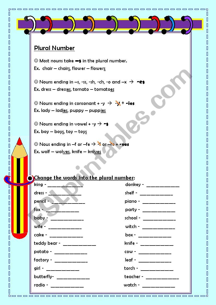 plural number worksheet