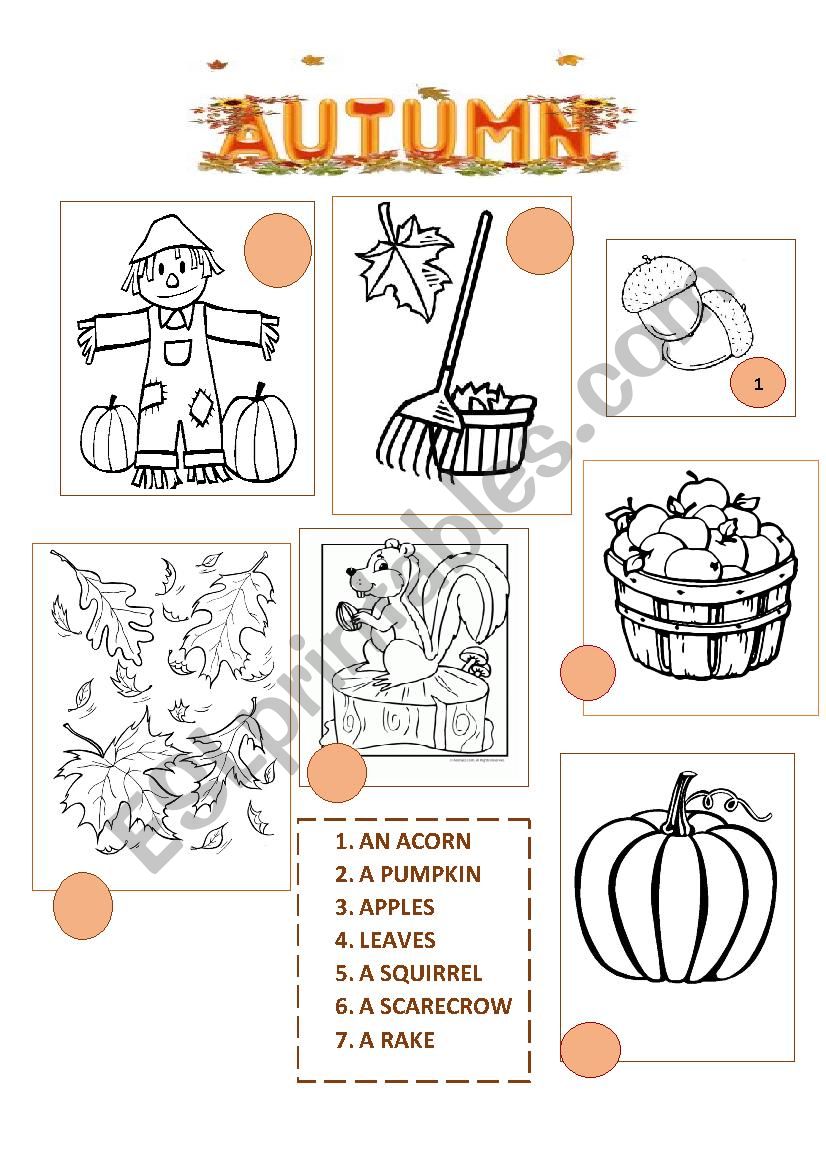 AUTUMN / FALL VOCABULARY worksheet