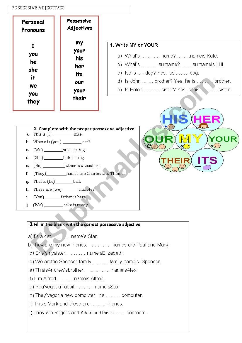 Possessive adjectives worksheet