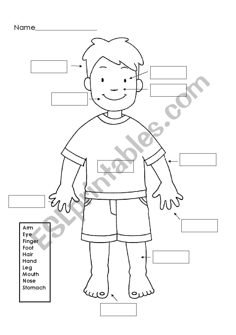 BodyParts worksheet