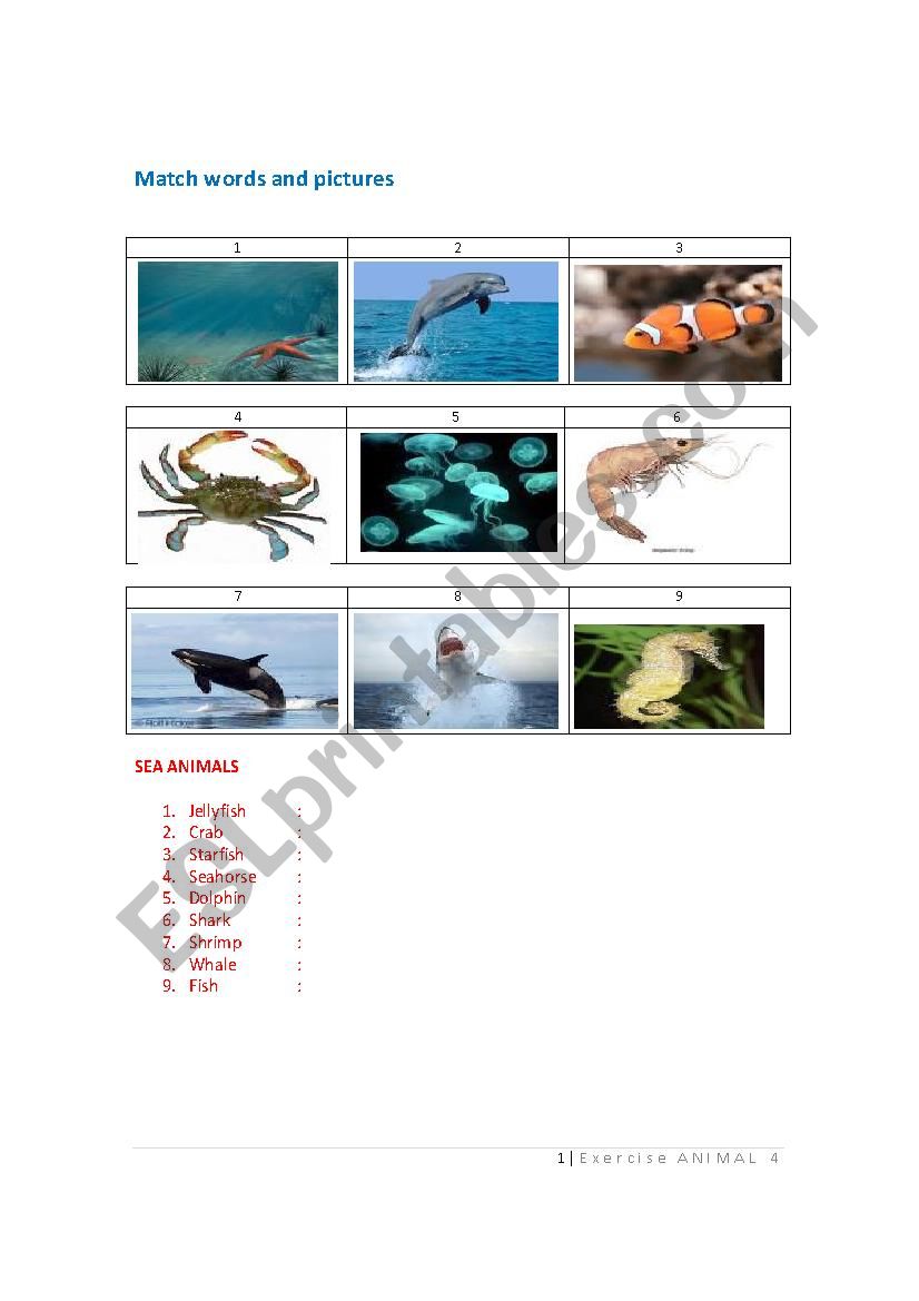 Animals worksheet