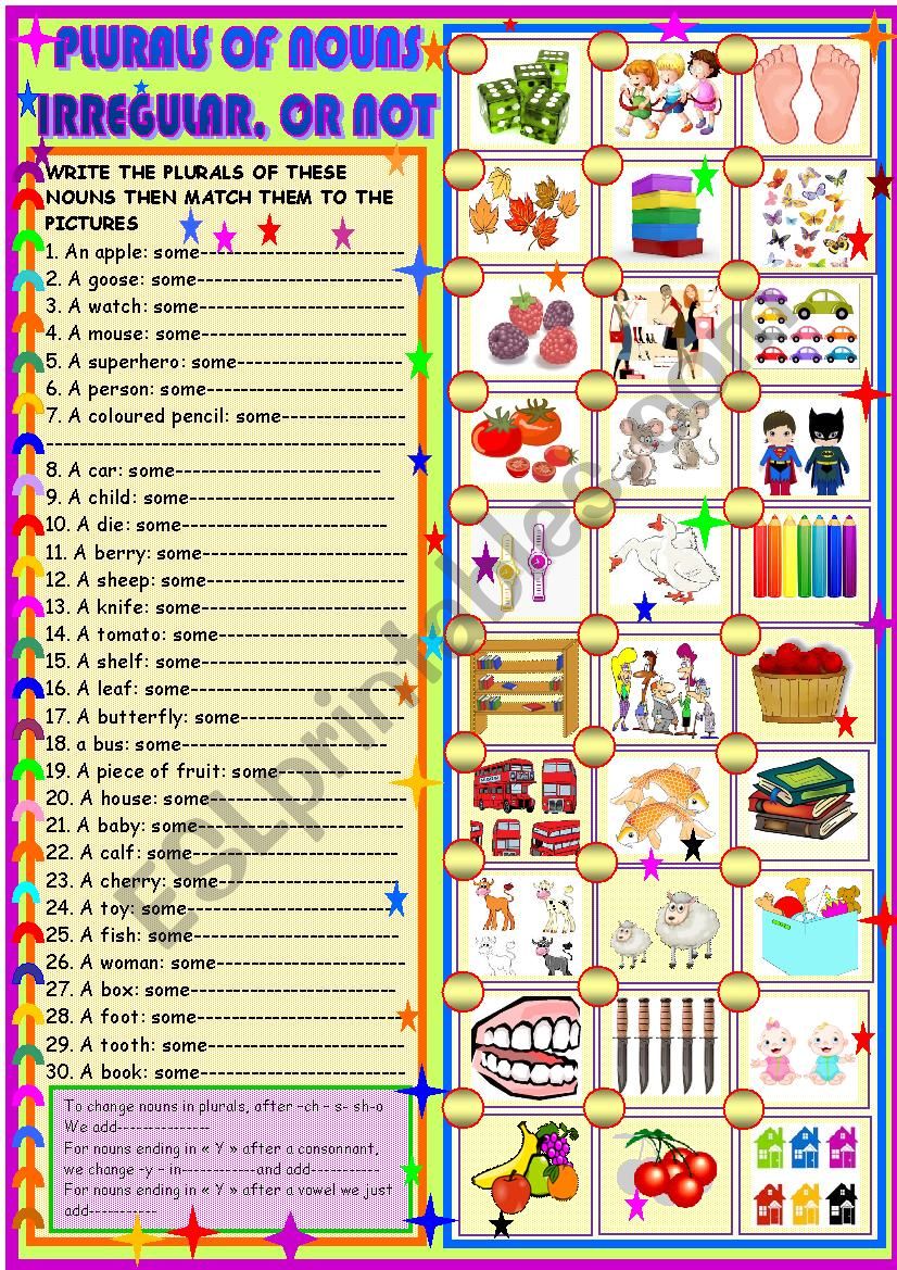 Plurals , regular on not worksheet