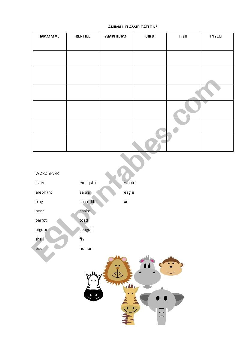 Animal Classifications Worksheet