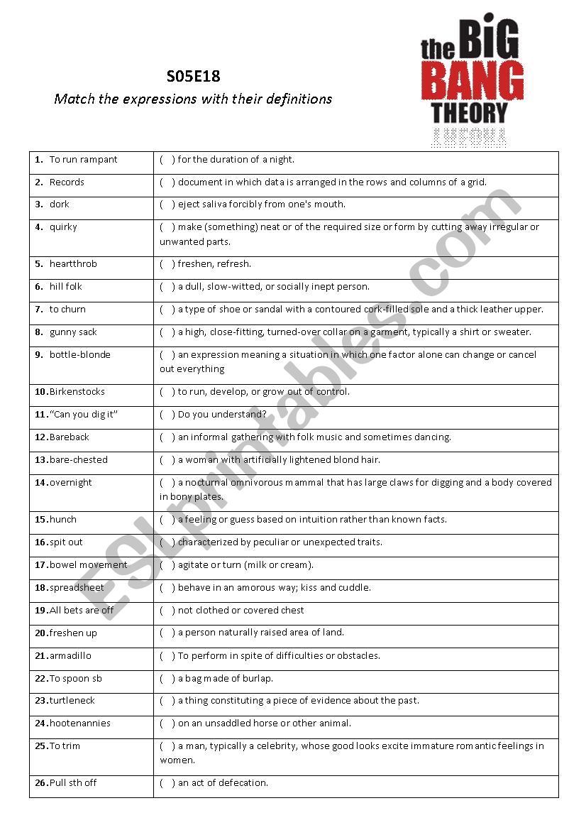 The Big Bang Theory worksheet