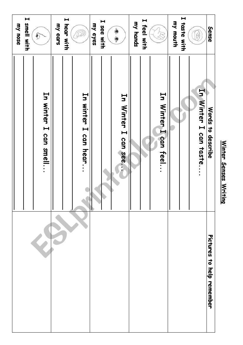 5 Senses in Winter worksheet