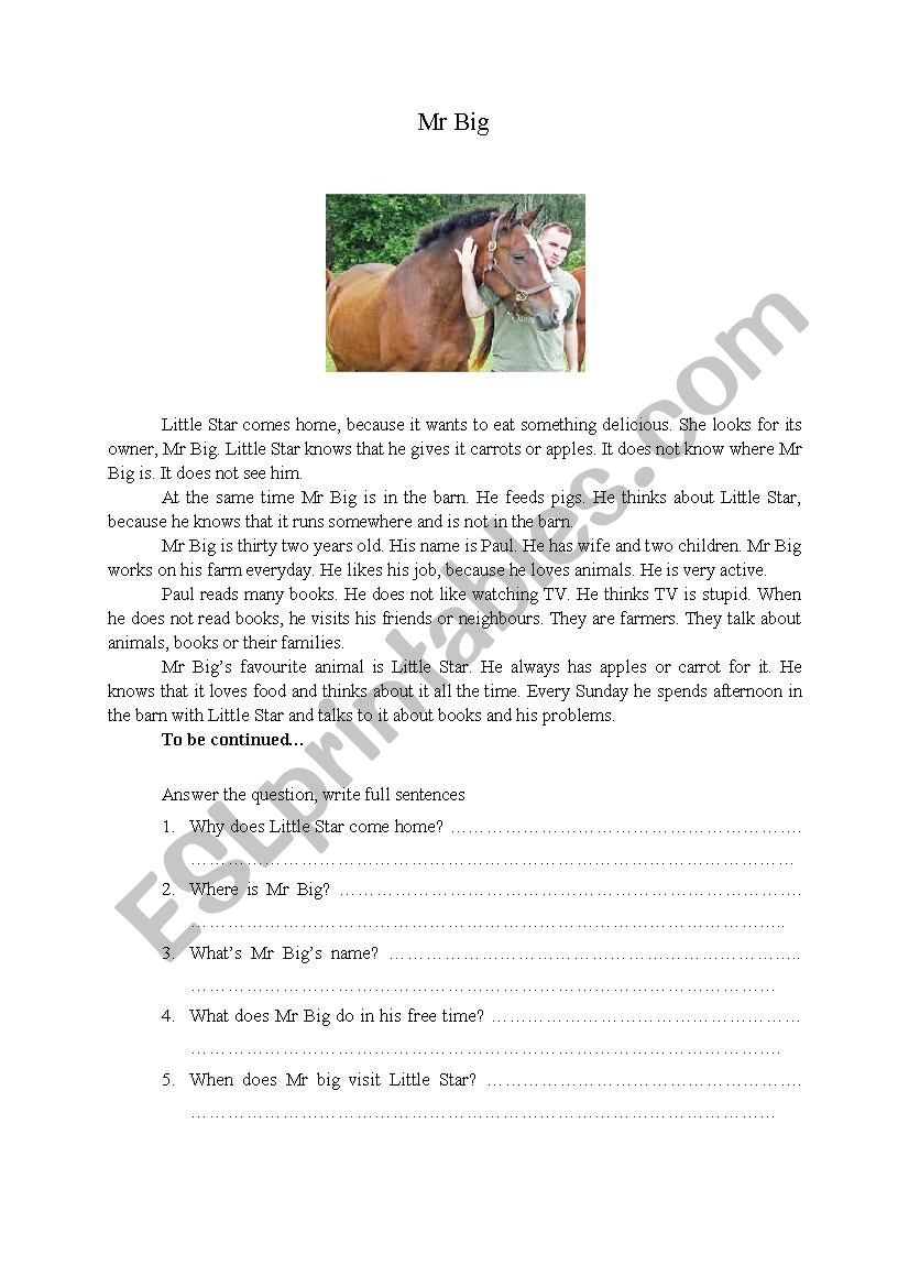 Mr Big and Little Star worksheet