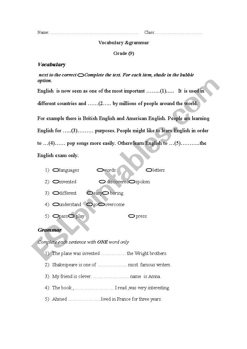 grammar & vocabulary  worksheet