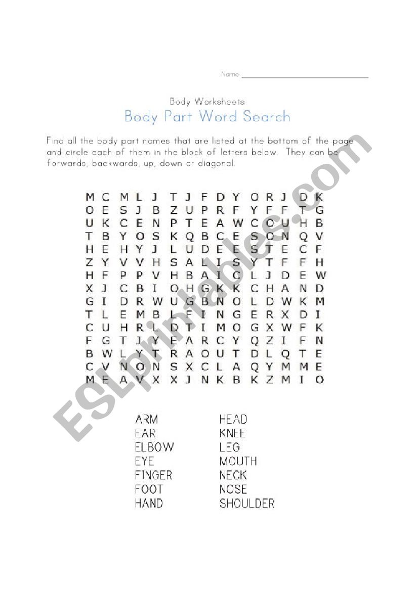 parts of the body worksheet