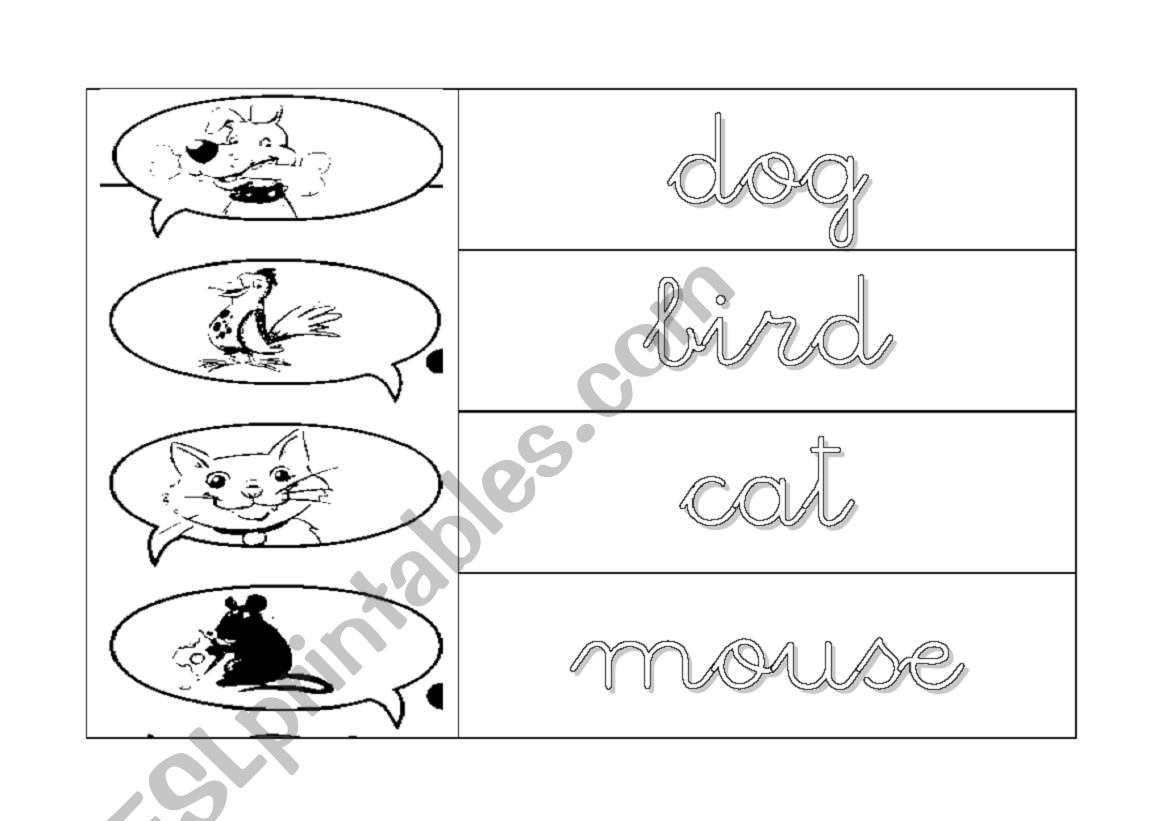 Animals worksheet