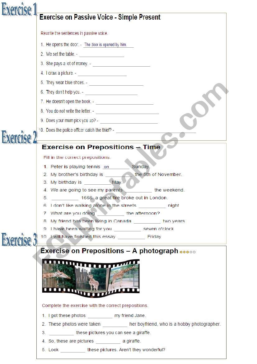 Grammar Exercise worksheet