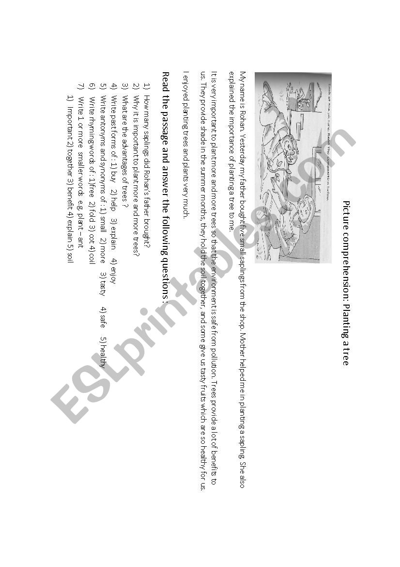 picture comprehension worksheet