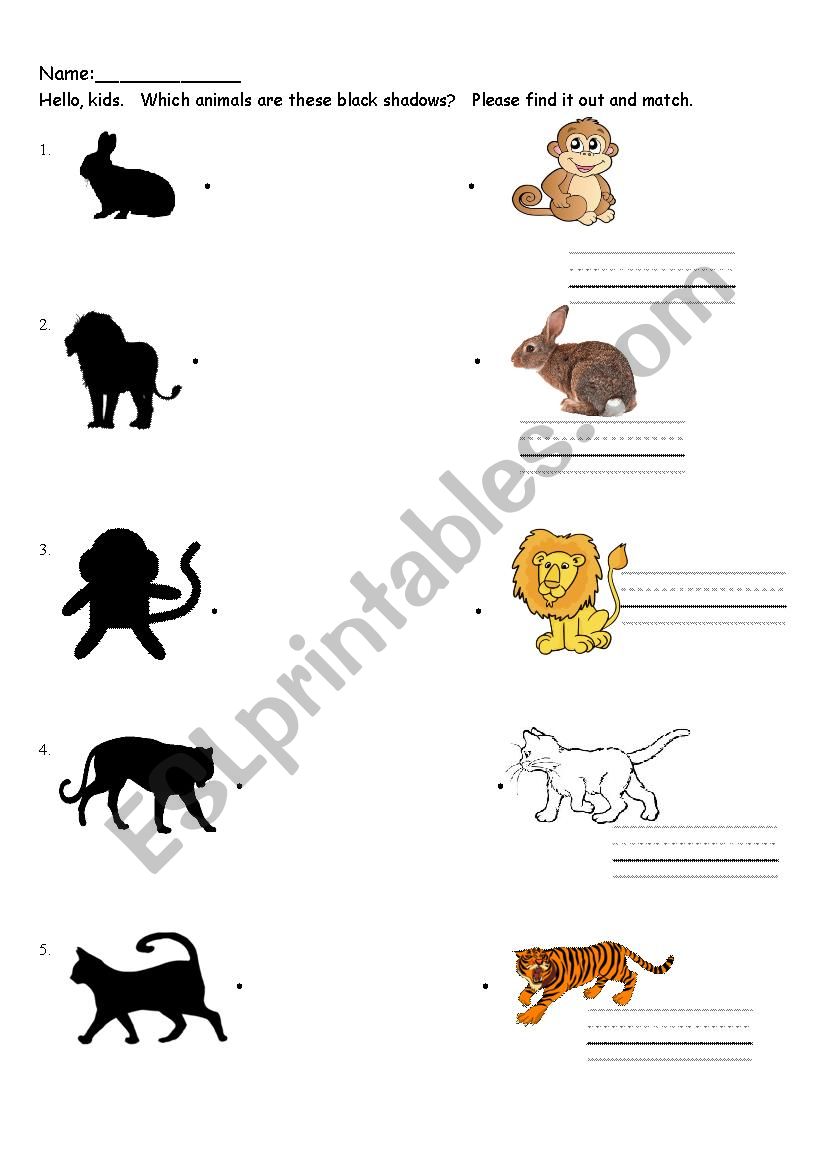 What animals are they worksheet