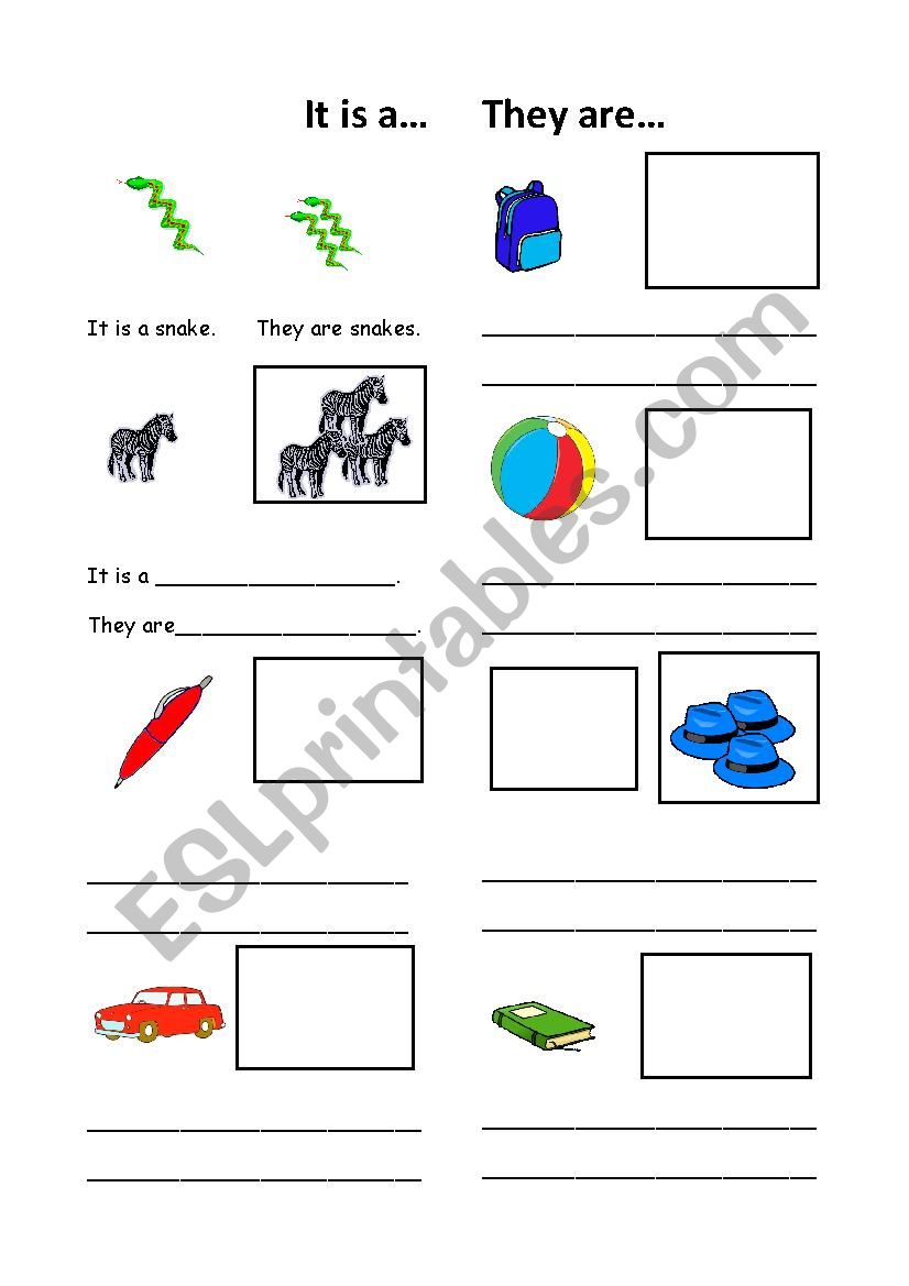 Plurals worksheet