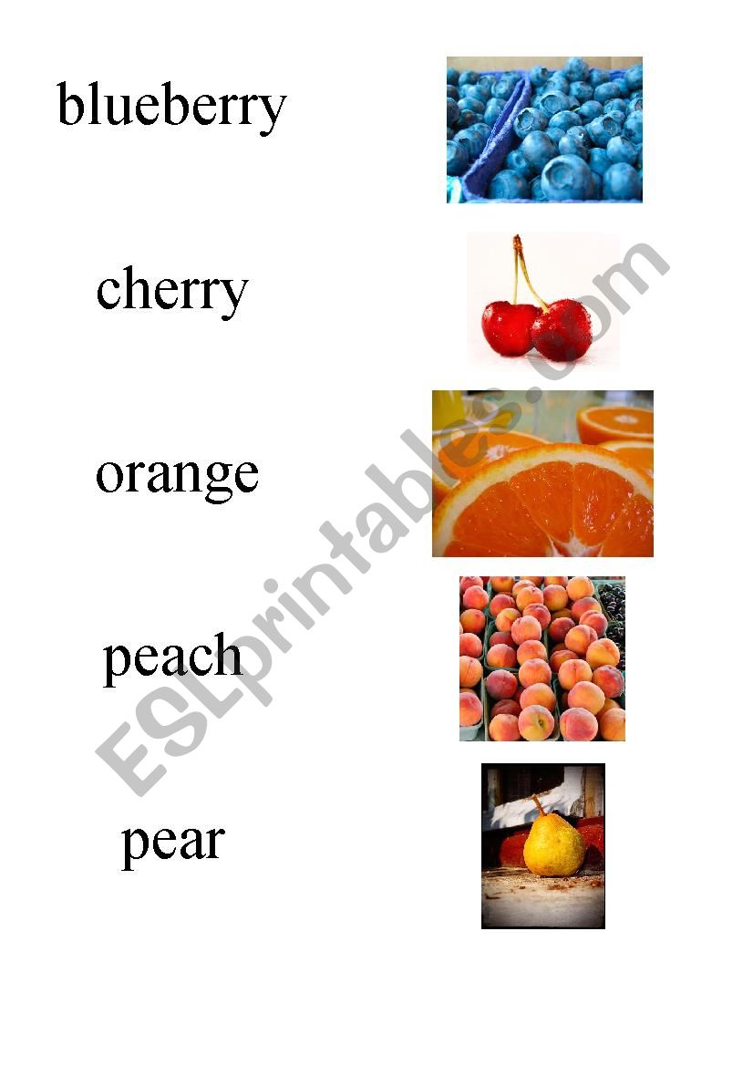 Fruit worksheet