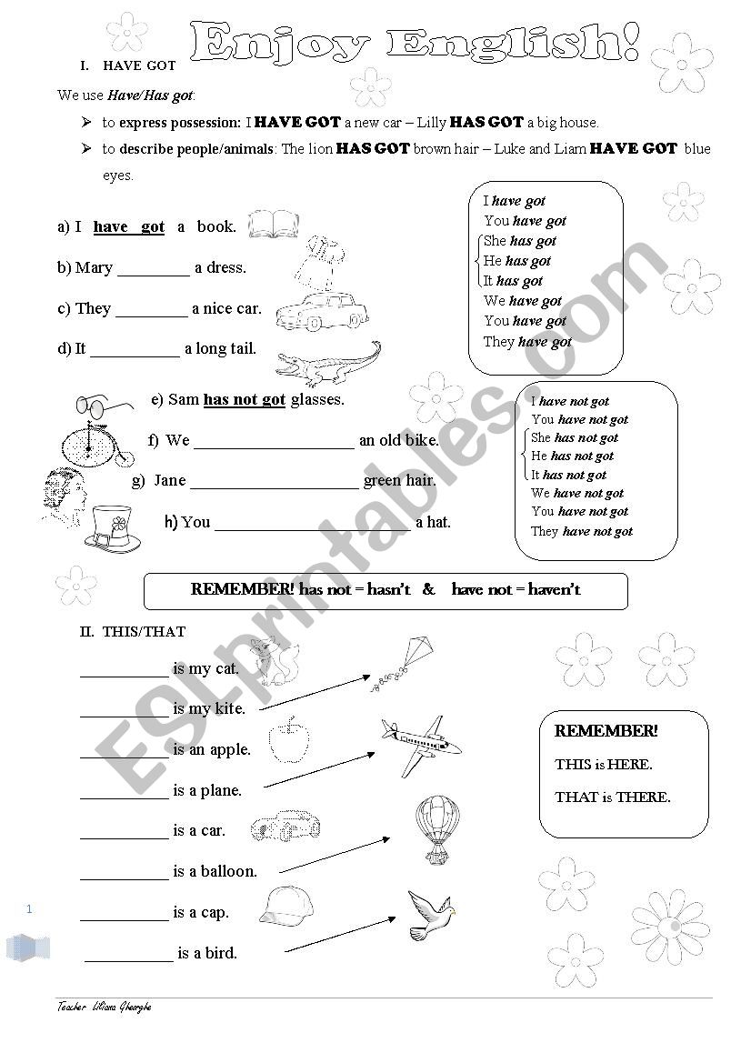 have/has got; this/that worksheet