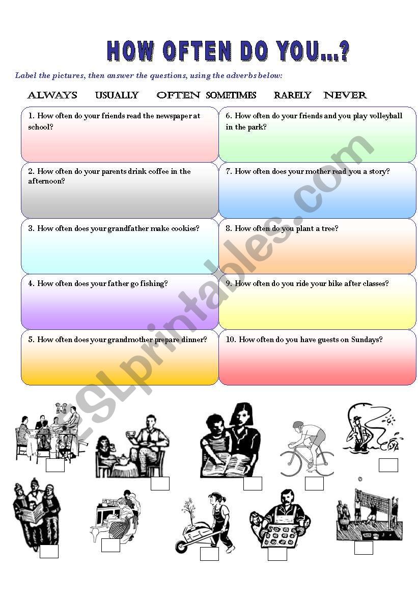 HOW OFTEN DO YOU...? worksheet