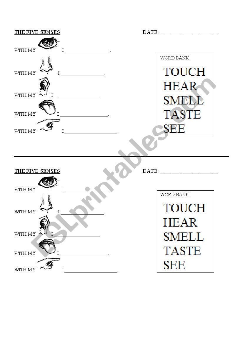 The five senses worksheet