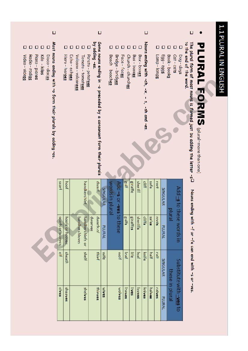 Plural in English worksheet